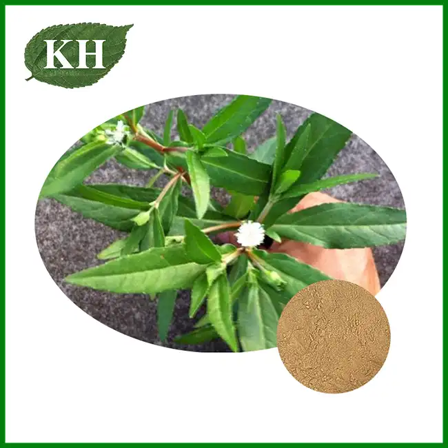 Eclipta Alba Extract